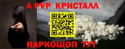 spice Тара